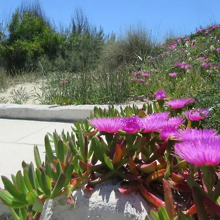 Holiday home Penelope By Cala Salento